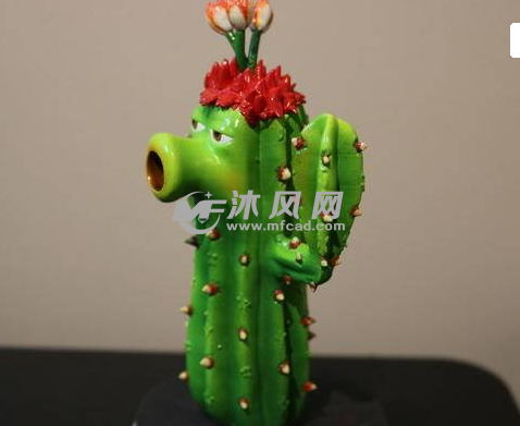 仙人掌花的侧视图