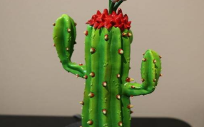 仙人掌花的后视图