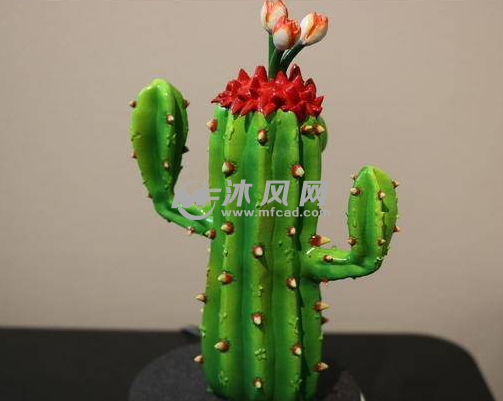 仙人掌花的后视图