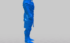 乌木铠甲的侧视图