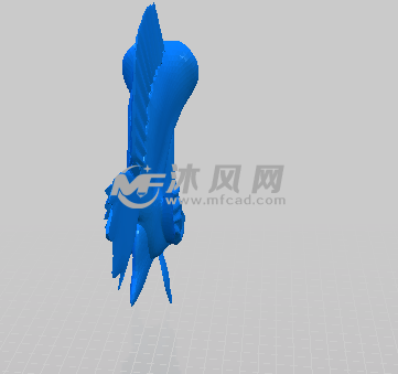 大眼鱼的后视图