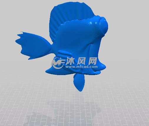 大眼鱼的侧视图