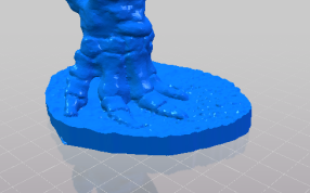 大象的化石足部细节