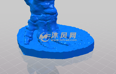 大象的化石足部细节