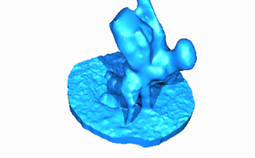 大象化石脚部打印模型