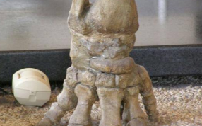 化石打印效果图