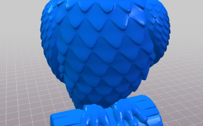 猫头鹰的身体部位