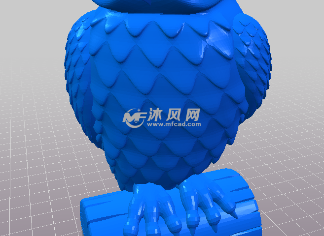 猫头鹰的身体部位