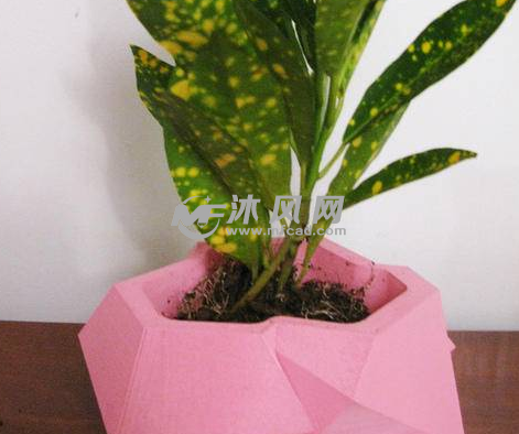 花盆打印成品图