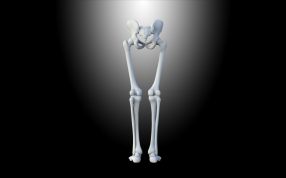 正视图纹理清晰