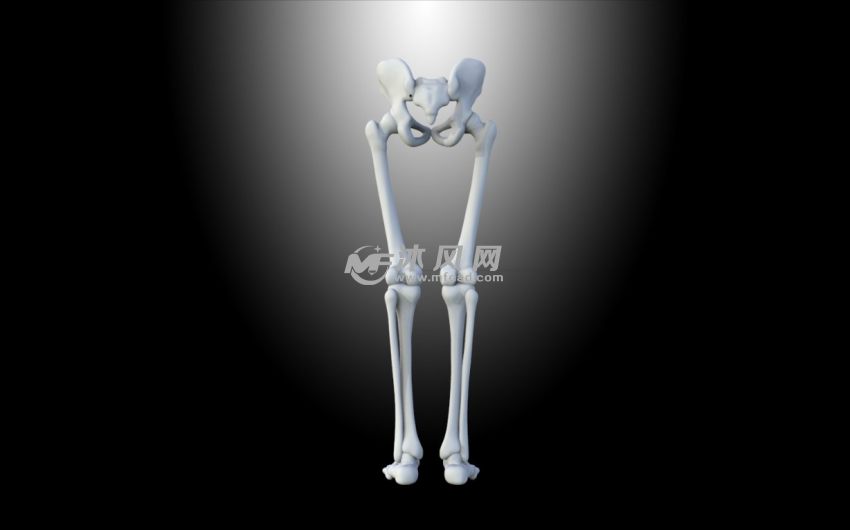 正视图纹理清晰