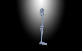 侧视图细节展现