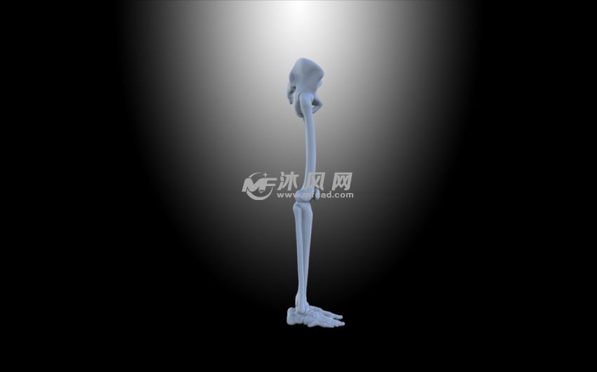 侧视图细节展现