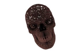 模型外形图展示