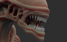 牙齿及头部展示