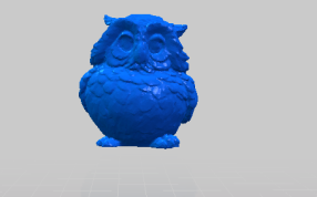 猫头鹰的正视图