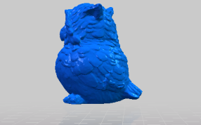 猫头鹰的侧视图