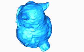 猫头鹰的后视图