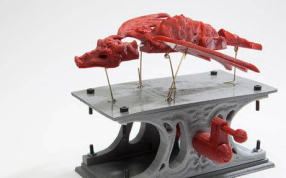 可以控制飞行的翼龙模型