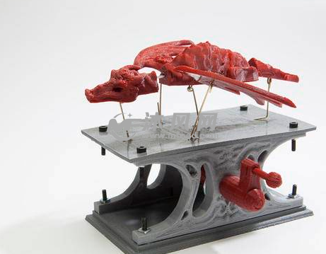 可以控制飞行的翼龙模型