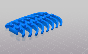 三叶虫的化石骨骼