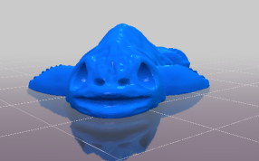 小丑鱼的正视图