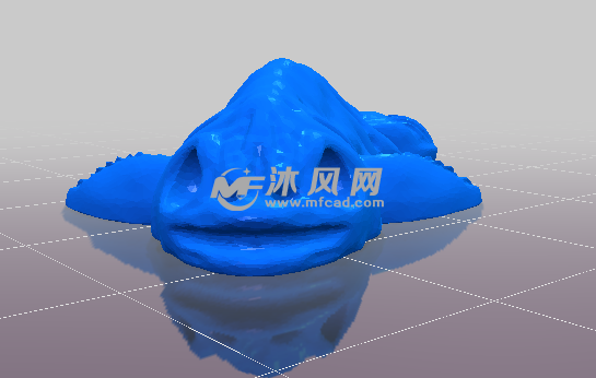 小丑鱼的正视图