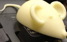 老鼠打印成品图