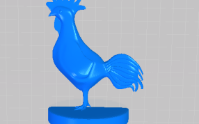 大公鸡的俯视图