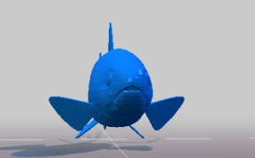 鱼部分的正视图