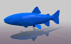 鱼部分的轴测图