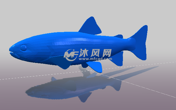 鱼部分的轴测图