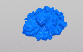 狮子面部轴测视图