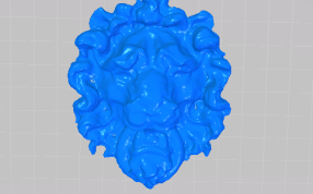 狮子面部的正视图