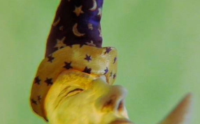 月亮模型打印实物图