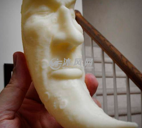 月两打印面部视图