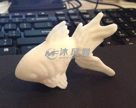 金鱼打印实物图