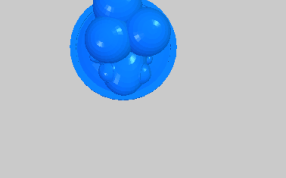 胖头鱼的俯视图