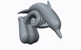 小海豚模型斜侧