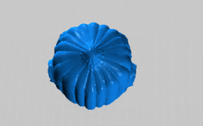 南瓜脸的俯视图