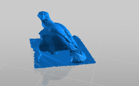 格子的后视图、