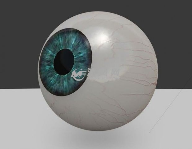 眼球模型