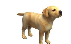 小狗模型