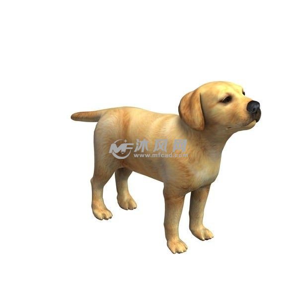 小狗模型