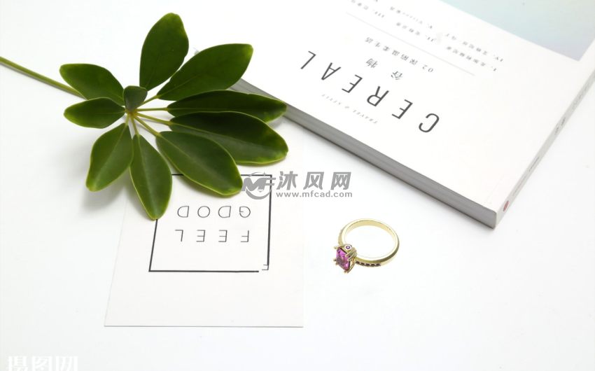 女士钻戒场景图