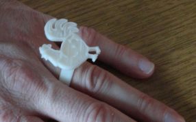 公鸡打印实物图