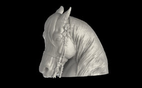 马头单独零件图