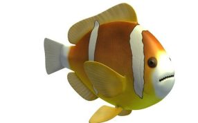 小丑鱼