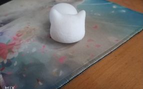 喵咪老师实体正试图