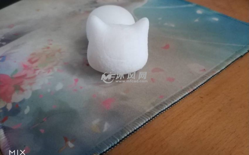 喵咪老师实体正试图